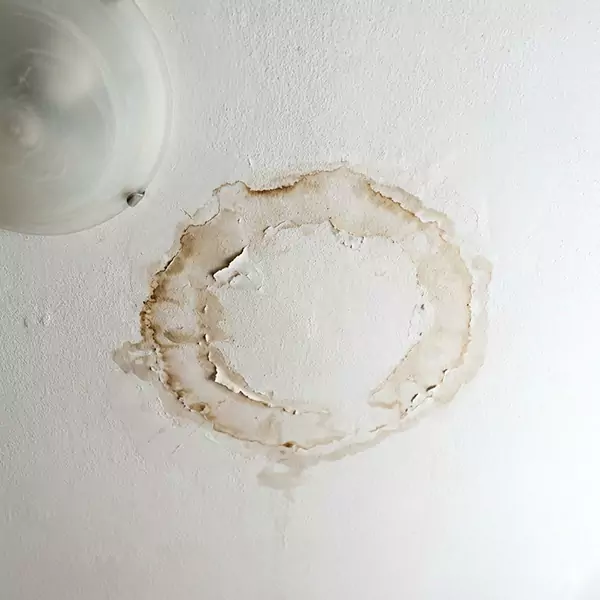 Leaking Ceiling Repair in Nampa, ID 