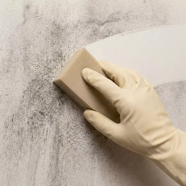 Smoke Cleaning in Nampa, ID 