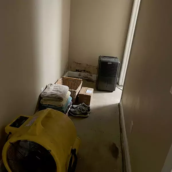 Expert Water Remediation in Nampa, ID 