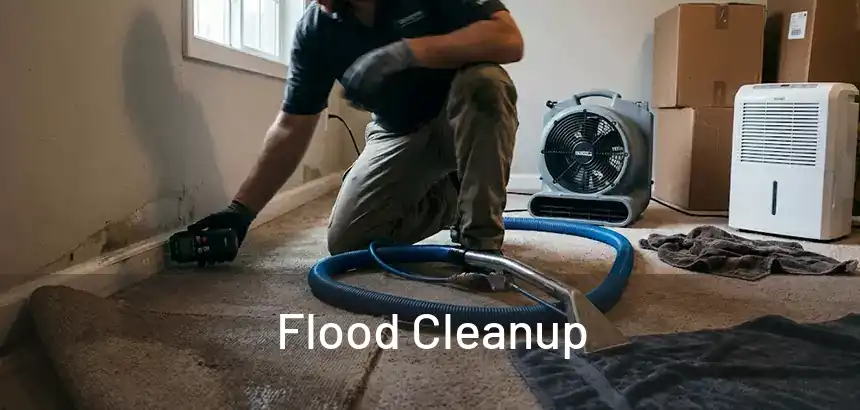  Flood Cleanup 
