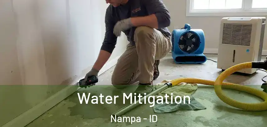 Water Mitigation Nampa - ID